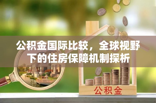 瑞穗公积金国际比较，全球视野下的住房保障机制探析