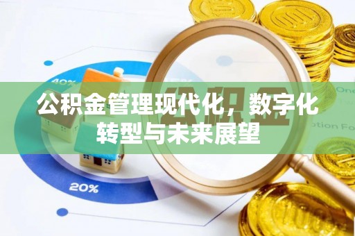 瑞穗公积金管理现代化，数字化转型与未来展望