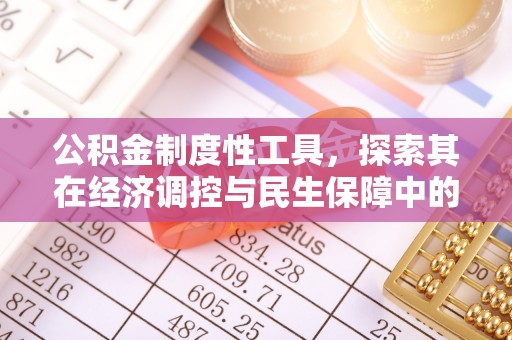 瑞穗公积金制度性工具，探索其在经济调控与民生保障中的重要作用