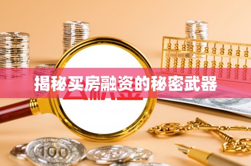 瑞穗揭秘买房融资的秘密武器