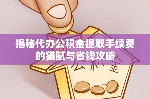 瑞穗揭秘代办公积金提取手续费的猫腻与省钱攻略