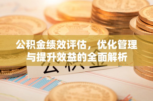 瑞穗公积金绩效评估，优化管理与提升效益的全面解析