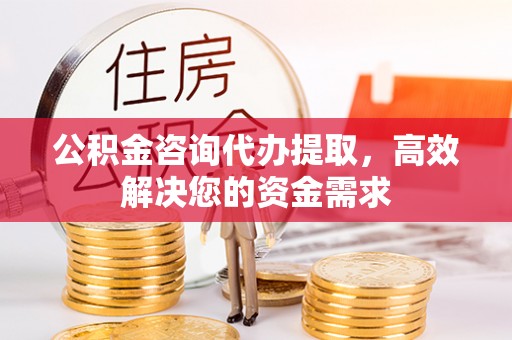 瑞穗公积金咨询代办提取，高效解决您的资金需求