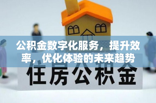 瑞穗公积金数字化服务，提升效率，优化体验的未来趋势