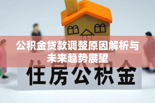 瑞穗公积金贷款调整原因解析与未来趋势展望
