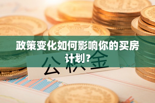 瑞穗政策变化如何影响你的买房计划？