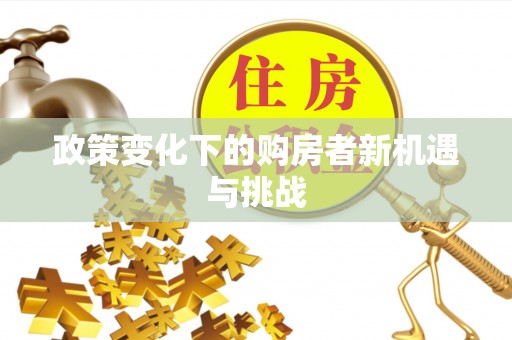 瑞穗政策变化下的购房者新机遇与挑战