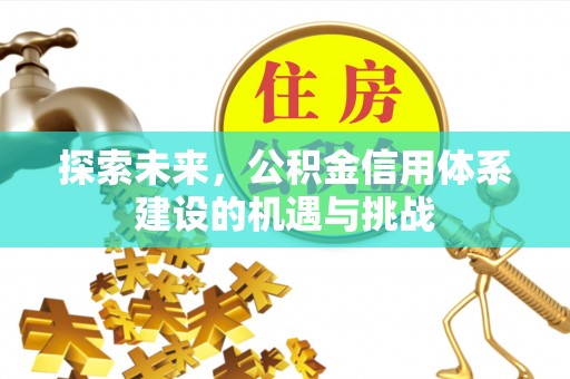 瑞穗探索未来，公积金信用体系建设的机遇与挑战