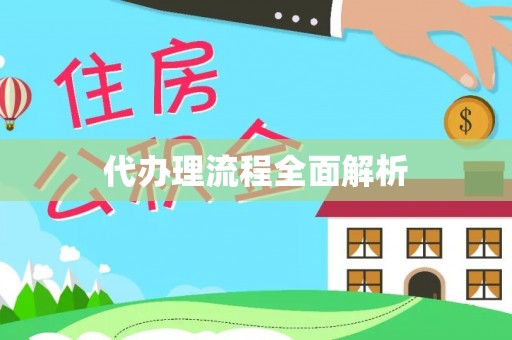 瑞穗代办理流程全面解析