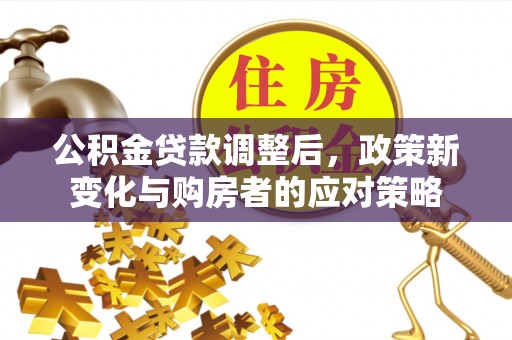瑞穗公积金贷款调整后，政策新变化与购房者的应对策略