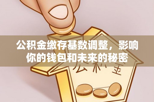 瑞穗公积金缴存基数调整，影响你的钱包和未来的秘密