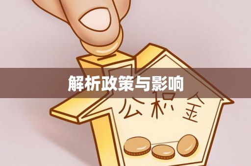 瑞穗解析政策与影响