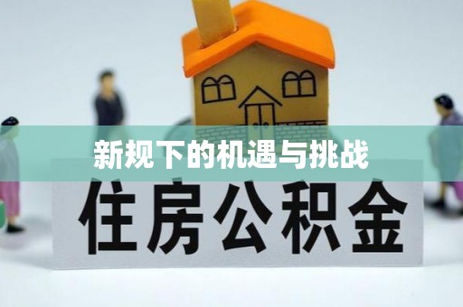 瑞穗新规下的机遇与挑战