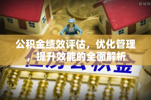 瑞穗公积金绩效评估，优化管理，提升效能的全面解析
