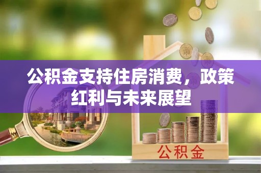 瑞穗公积金支持住房消费，政策红利与未来展望