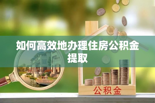 瑞穗如何高效地办理住房公积金提取