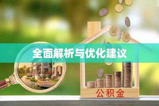 瑞穗全面解析与优化建议