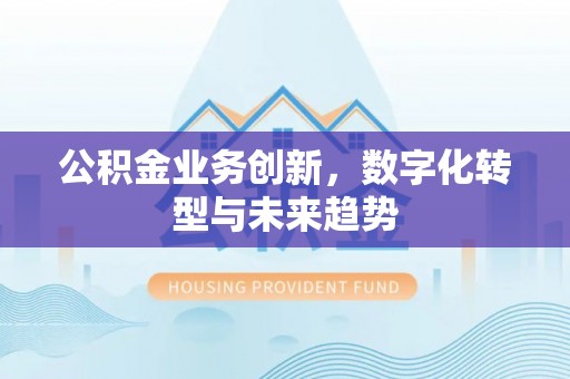 瑞穗公积金业务创新，数字化转型与未来趋势