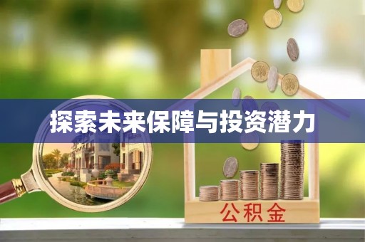 瑞穗探索未来保障与投资潜力