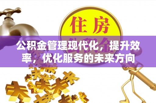 瑞穗公积金管理现代化，提升效率，优化服务的未来方向