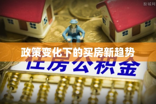 瑞穗政策变化下的买房新趋势