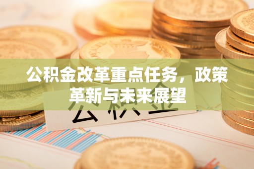 瑞穗公积金改革重点任务，政策革新与未来展望