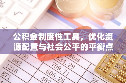 瑞穗公积金制度性工具，优化资源配置与社会公平的平衡点