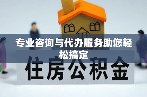 瑞穗专业咨询与代办服务助您轻松搞定