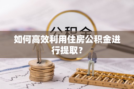 瑞穗如何高效利用住房公积金进行提取？