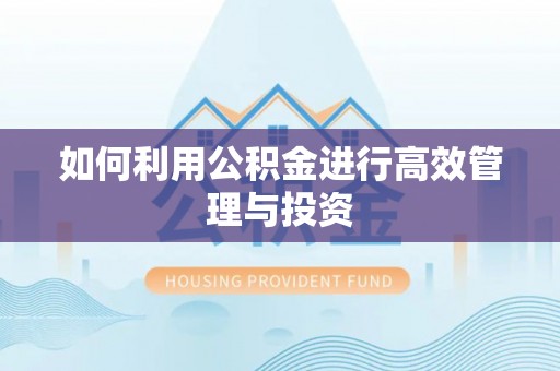 瑞穗如何利用公积金进行高效管理与投资