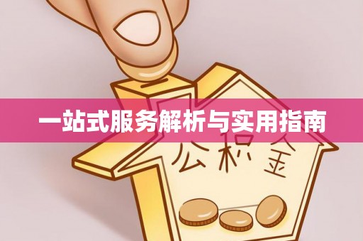 瑞穗一站式服务解析与实用指南