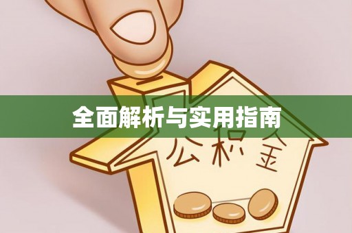 瑞穗全面解析与实用指南