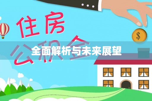 瑞穗全面解析与未来展望