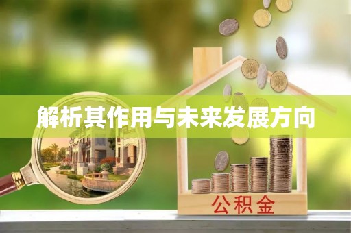瑞穗解析其作用与未来发展方向