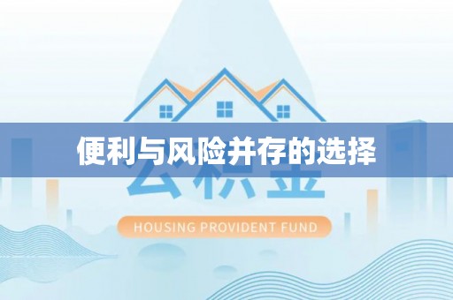 瑞穗便利与风险并存的选择
