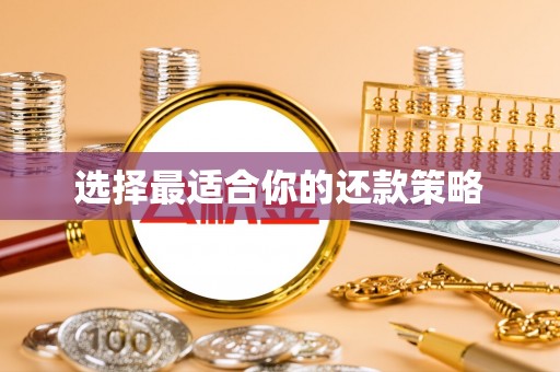 瑞穗选择最适合你的还款策略