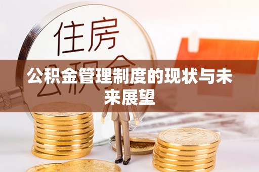 瑞穗公积金管理制度的现状与未来展望