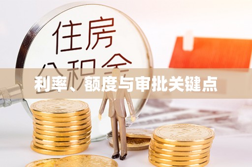 瑞穗利率、额度与审批关键点