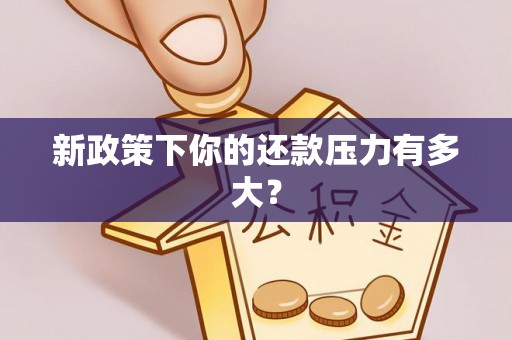 瑞穗新政策下你的还款压力有多大？