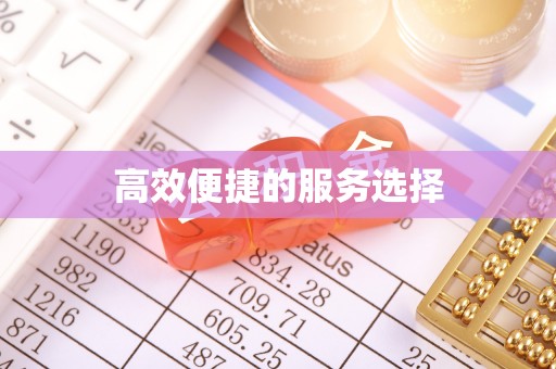 瑞穗高效便捷的服务选择