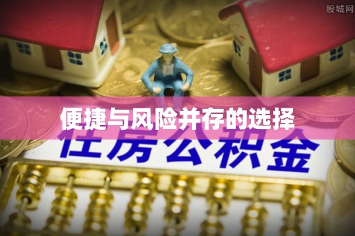 瑞穗便捷与风险并存的选择