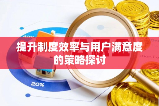瑞穗提升制度效率与用户满意度的策略探讨
