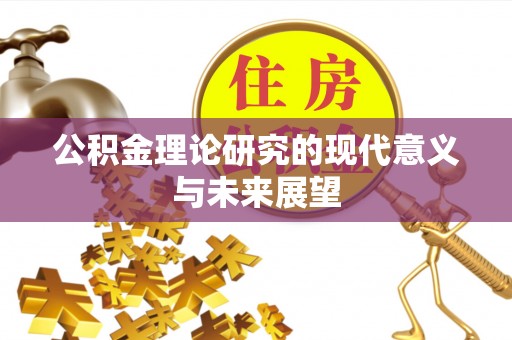 瑞穗公积金理论研究的现代意义与未来展望