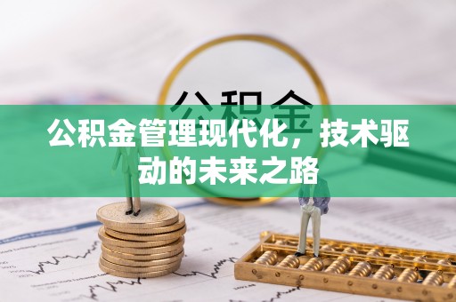 瑞穗公积金管理现代化，技术驱动的未来之路